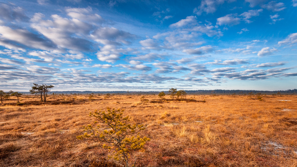 17342671315_2477f2212b_b 17342671315_2477f2212b_b