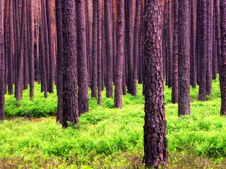 OLYMPUS DIGITAL CAMERA OLYMPUS DIGITAL CAMERA